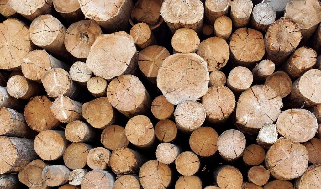 Soft Wood Examples b